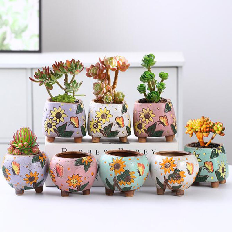 Корейский стиль, подсолнух, го – обзор и цена Echeveria Succulent