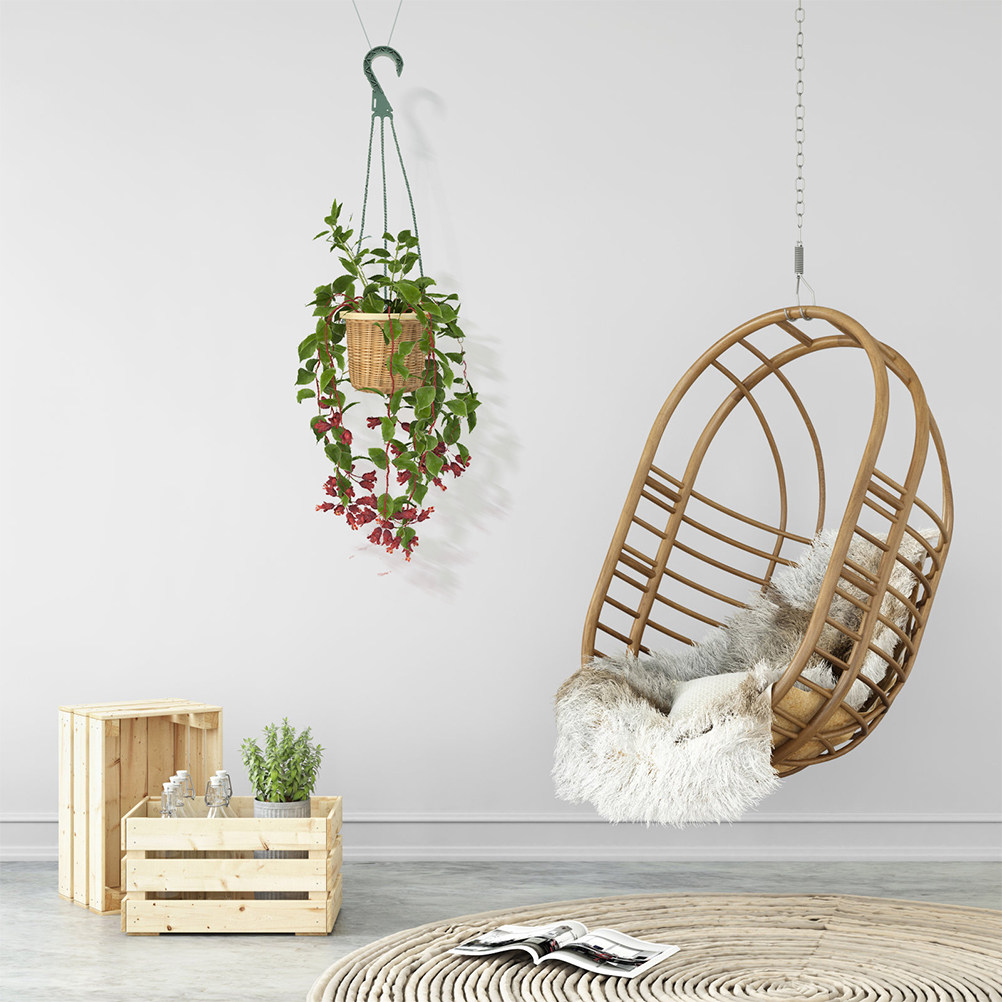 Набор из 5 современных минимал – обзор и цена Spider Plant Hanging