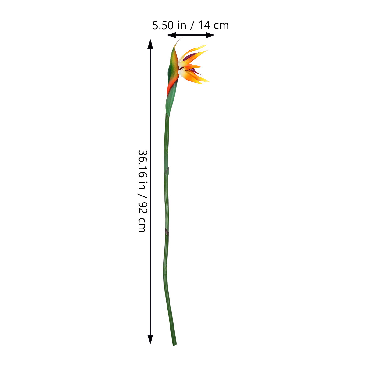 Искусственное растение Стрелиц – обзор и цена Bird Paradise Strelitzia