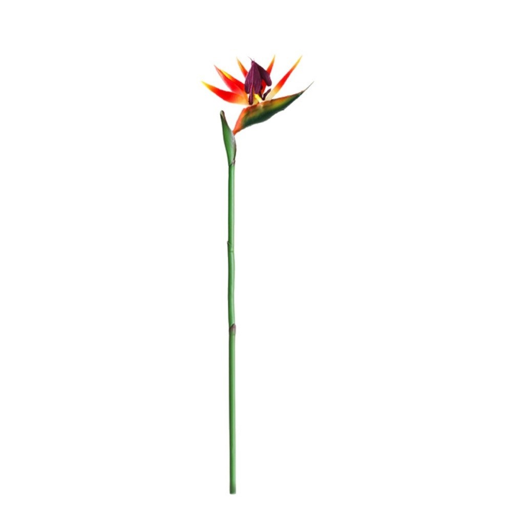 Искусственные цветы стрелиции  – обзор и цена Bird Paradise Strelitzia
