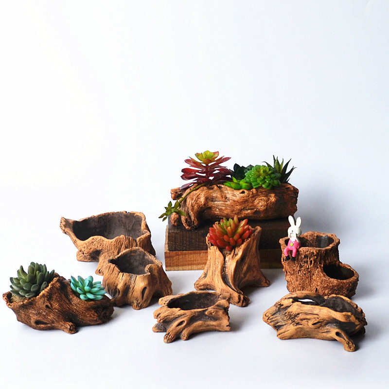 Имитация деревянных кольев, ко – обзор и цена Echeveria Succulent