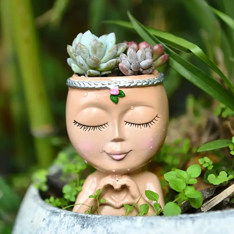 Кашпо для суккулентов из смолы – обзор и цена Echeveria Succulent
