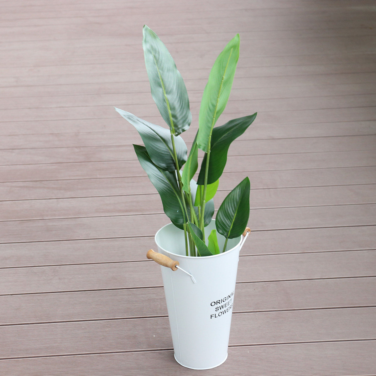 Кованая железная ваза-кашпо дл – обзор и цена Aloe Vera Pot